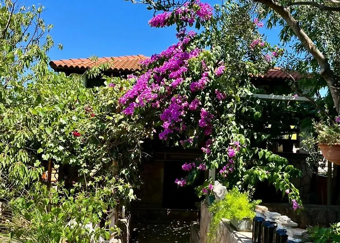 Casa de hóspedes With Swimming Pool Gorana Jelsa (Hvar)